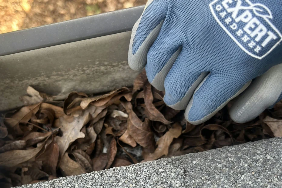 Surfside Beach Gutter Cleaning
